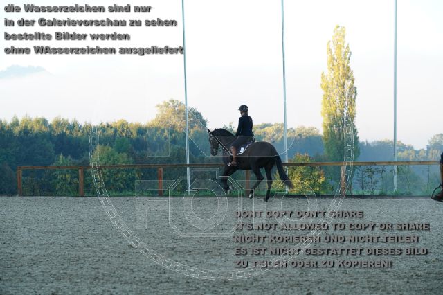 s_K3F09241.JPG
